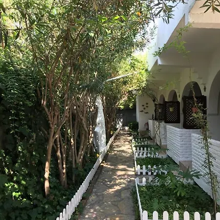 卡诺酒店 达利安