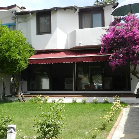 Kano Dalyan